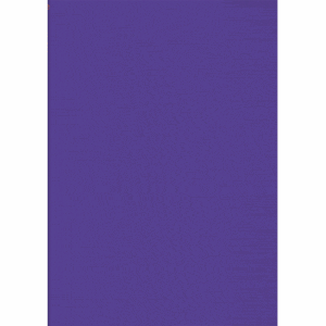 25 x Brunnen Heftumschlag A4 violett