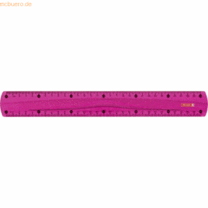 Brunnen Lineal Colour Code 30cm pink
