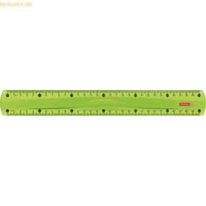 10 x Brunnen Lineal Colour Code 30cm kiwi