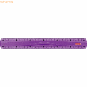 10 x Brunnen Lineal Colour Code 30cm purple